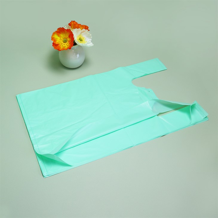 Biodegradable Plastic Shopping Bag Green Tote Bag