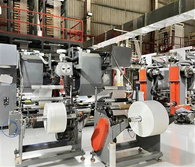 Tendencias futuras en la industria de bolsas de embalaje de plástico en 2026:...