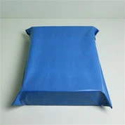 Bolsa de correo azul metalizada